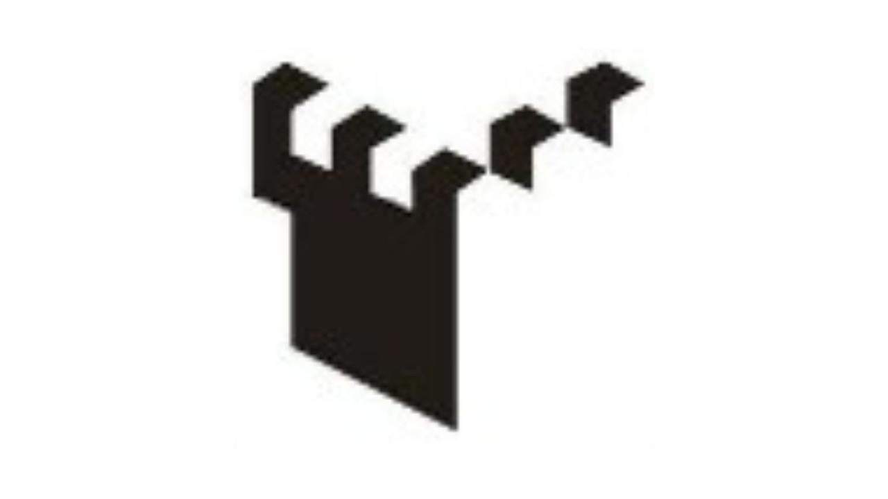 Salesforce Developer